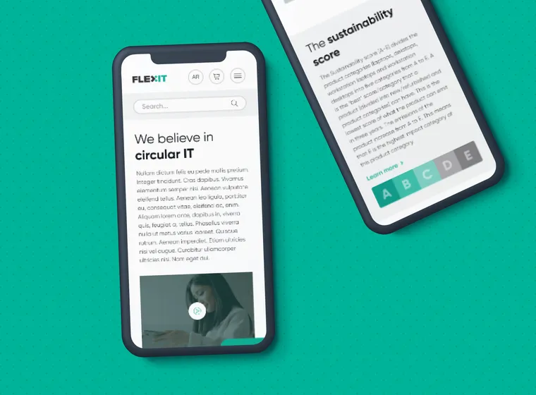 09 - Mobile - Multiple Screens Phones - Flex-it