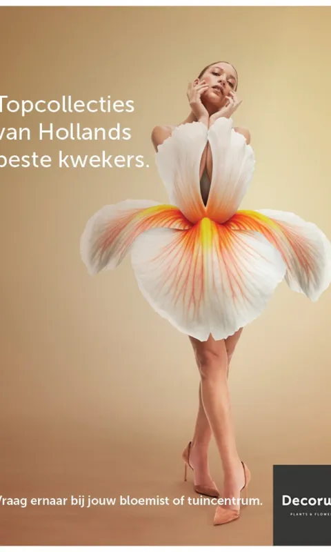 decorum-floralfashion-3