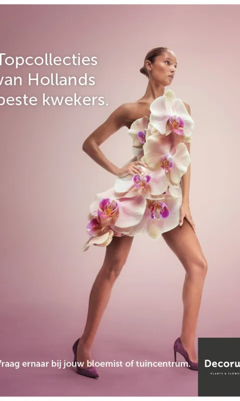 decorum-floralfashion1