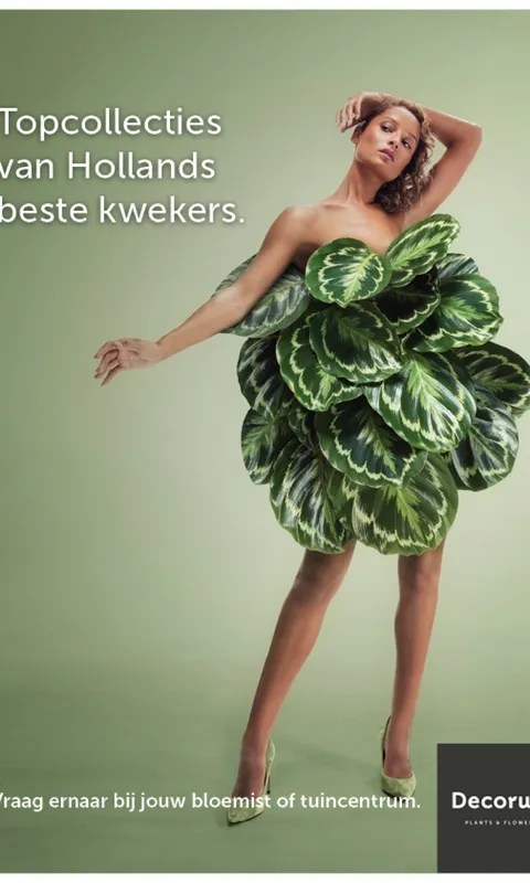 decorum-floralfashion-2