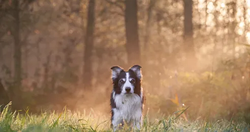 imgi_46_8f4204_7e30ca06e69242fa9fa660f513f3d8d7~mv2