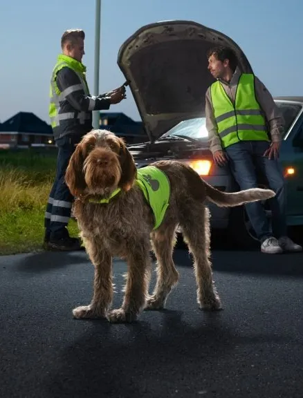 imgi_47_ANWB-24-7-JAAP-KLEIN-768x576