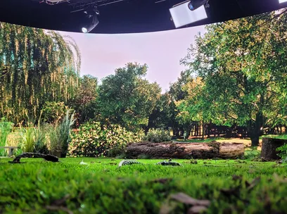 Zeeman virtual production 2